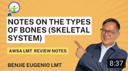 Review on the Types of Bones